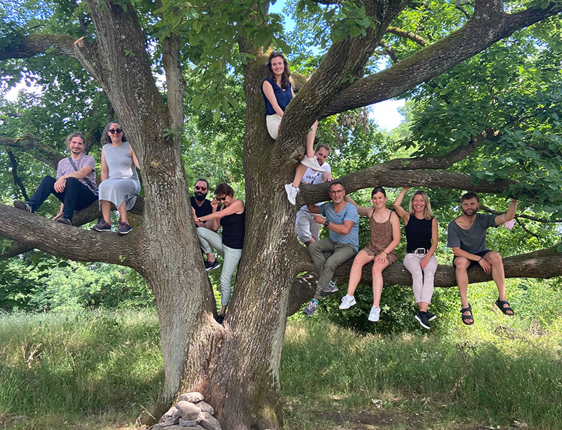 Alle auf einem Baum
